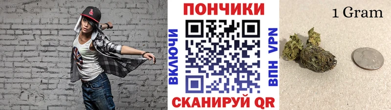 Как найти закладки Приморск КОКАИН  Гашиш  Псилоцибиновые грибы  Канабис  ГЕРОИН  Альфа ПВП 