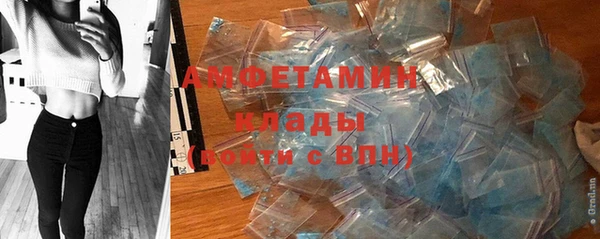 мет Протвино